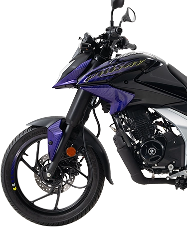Bajaj Pulsar N125 — Main