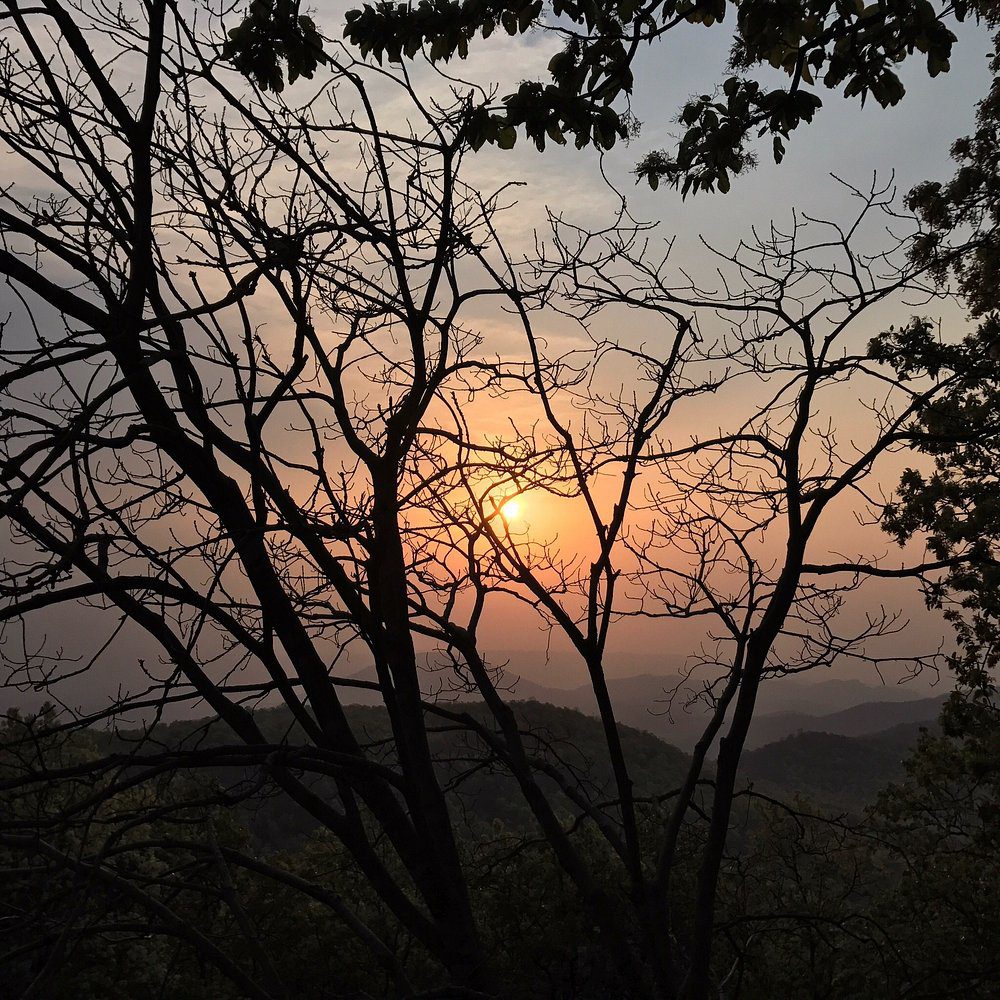 Magnolia Sunset Point (replace)